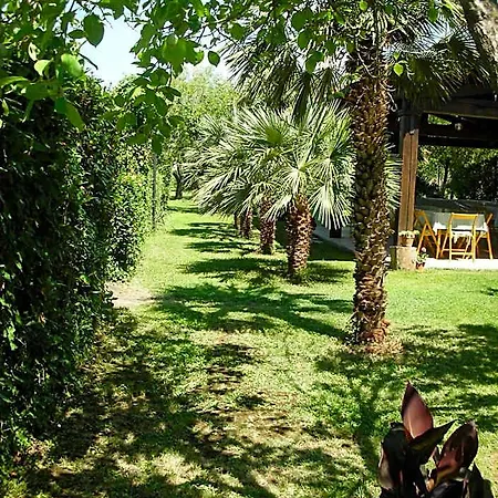 Da Pio 2* Marina di Pietrasanta