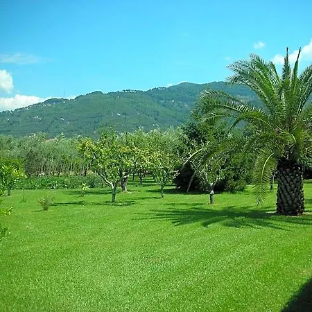 Da Pio Hotell Marina di Pietrasanta